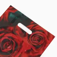Пакет &laquo;Алые розы&raquo;, полиэтиленовый с вырубной ручкой, 30&times;40 см, 50 мкм