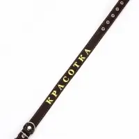 Ошейник &laquo;Красотка&raquo;, 60&times;2.5 см, однослойный, тиснение фольгой, кожа, цвет МИКС