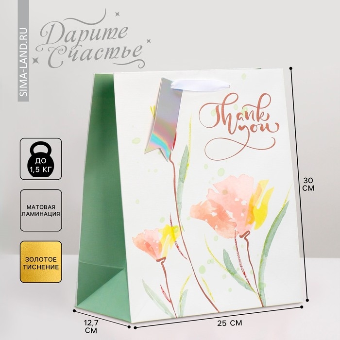 Пакет подарочный ламинированный, упаковка, «Спасибо», 25.4 х 30.5 х 12.7 см