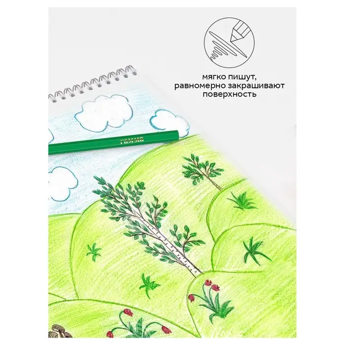 Карандаши цветные пластиковые 36 цветов &laquo;Гамма. Мультики&raquo;, заточенные, ПВХ, европодвес (251220214)