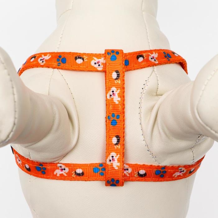 Комплект амуниции Комплект амуниции "Собачки", поводок 120 х 1 см, ОГ 27-42 см, оранжевый