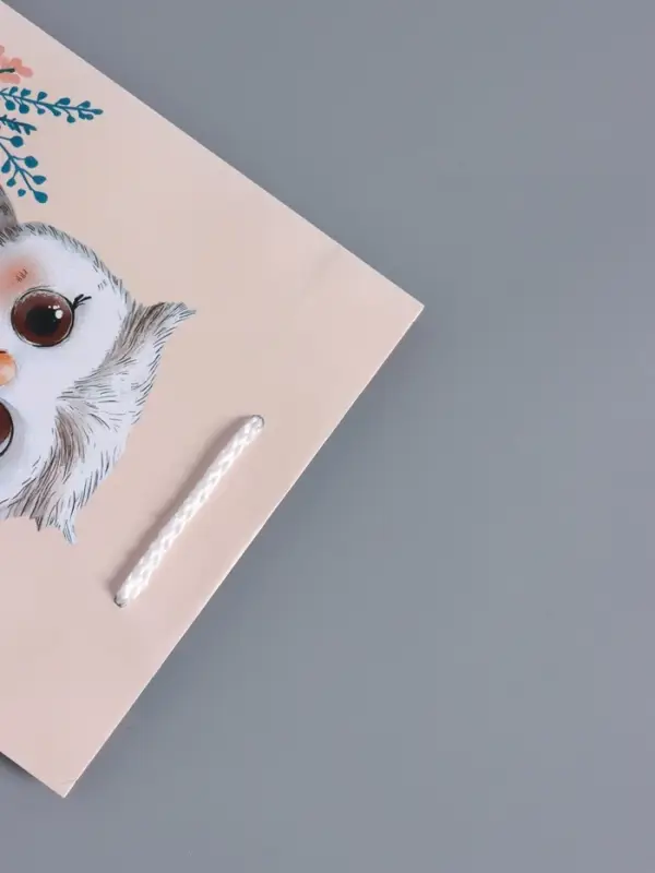 Пакет подарочный "Мудрая совушка" ламинированный 18 х 22,3 х 10 см