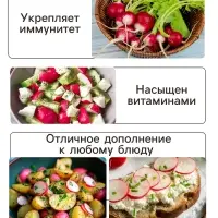 Семена Редис "Саксон", 1,5 г