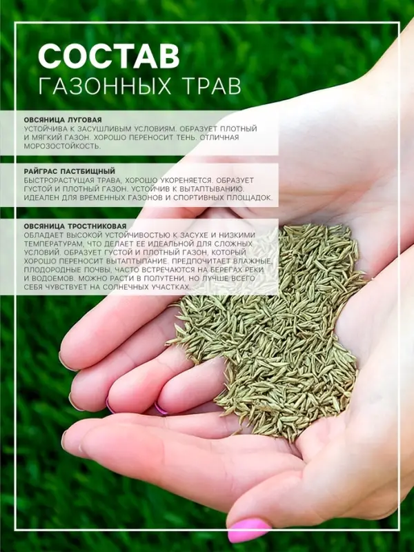 Газонная травосмесь &laquo;Гринкипер&raquo;, &laquo;Зимостойкая&raquo;, 1 кг