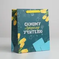 Пакет подарочный ламинированный, упаковка, «Самому Лучшему Учителю», ML 27 х 23 х 11.5 см