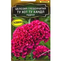 Семена цветов Целозия гребенчатая Ту хот ту хандл пурпл С. Floranova Золотая серия, Ц/П,5 шт. 10945 Семена цветов Целозия гребенчатая Ту хот ту хандл пурпл С. Floranova Золотая серия, Ц/П,5 шт. 10945