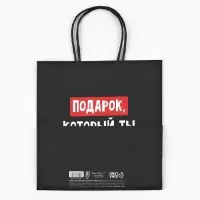 Пакет подарочный новогодний &laquo;Подарок, который ты заслужил&raquo;, 22&times;22&times;11 см