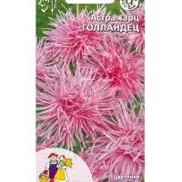 Семена Цветы Астра харц &laquo;Голландец&raquo; 0.2 г