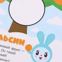 Книга &laquo;Рисуем пластилином. Малышарики&raquo;, 20 стр., 24&times;24 см