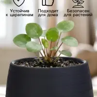 Горшок цветочный &laquo;Япония&raquo;, 3 л, d=22 см, h=20 см, пластиковый, с поддоном, графитовый