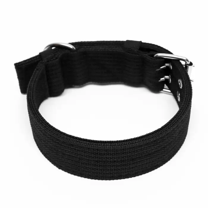 Ошейник четырехслойный, 64&times;4 см, ОШ 50-58 см, полиэстер, чёрный