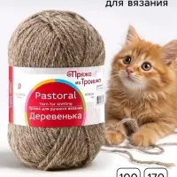 Пряжа для вязания спицами, крючком &laquo;Деревенька&raquo;, 100% шерсть, 170 м/100 г