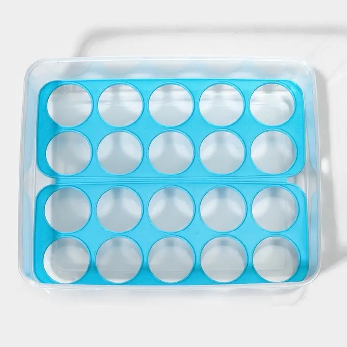 Контейнер для хранения яиц Доляна, 20 ячеек, 27.5&times;22&times;7 см, пластик, прозрачный, голубой