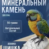 Минеральный камень &laquo;Пижон&raquo; для птиц, шишка, 50 г