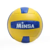 Волейбольный мяч MINSA, машинная сшивка, 18 панелей, р. 5, PVC
