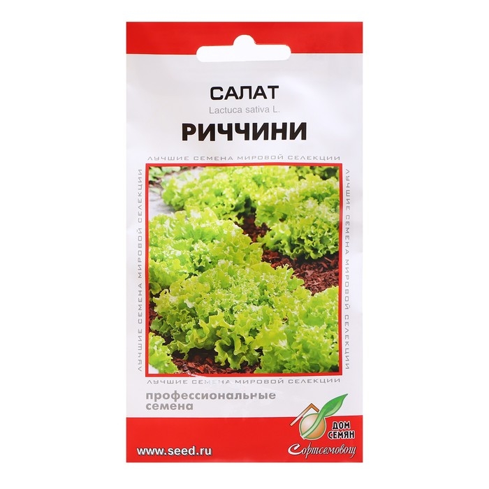 Семена Салат Семена Салат "Риччини", 10 шт