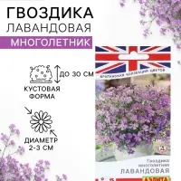 Семена цветов Гвоздика многолетняя &laquo;Лавандовая&raquo; 0.05 г