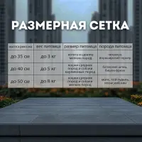 Рюкзак-переноска для кошек и собак, 35&times;30&times;26 см, серый