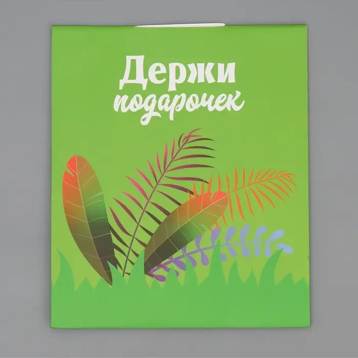 Пакет подарочный с формовым клапаном, упаковка, &laquo;Львенок&raquo;, 23&times;27&times;11.5 см