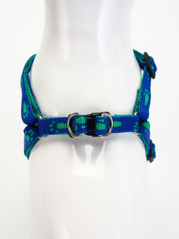 Комплект Комплект "Большая лапа", ширина 1 см, поводок 120 см, шлейка 25-36 см, сине-зелёный