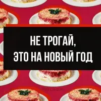 Ланч - бокс новогодний &laquo;Не трогай, это на новый год&raquo;, 500 мл