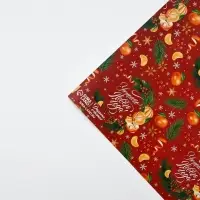 Набор упаковочной бумаги «Зимняя сказка», 4 листа, 70 × 100 см Набор упаковочной бумаги «Зимняя сказка», 4 листа, 70 × 100 см