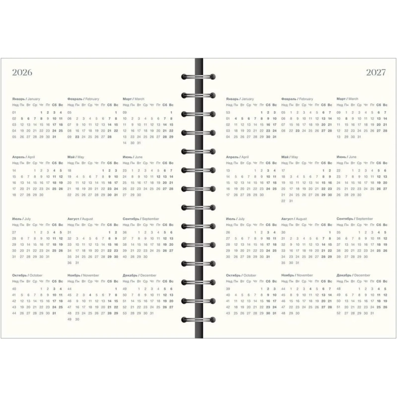 Ежедневник датированный 2026 IF 14х20см 160л, на спир, Basic I1751emb/black