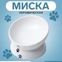 Миска &laquo;Фэншуй&raquo;, 150 мл, 13&times;9 см, керамика, белая с лапками