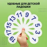 Набор веер-касс, гласные, согласные, цифры от 1 до 20, Calligrata TOP, плотные, 3 штуки, пакет с европодвесом