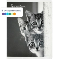 Тетрадь 48 л, клетка  МОНОХРОМНЫЕ КОТЫ А5+,  в ассорт/70920