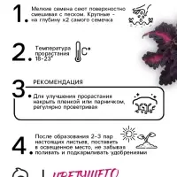 Семена цветов Колеус &laquo;Чёрный дракон&raquo; F1, 10 шт., однолетник, &laquo;Престиж семена&raquo;