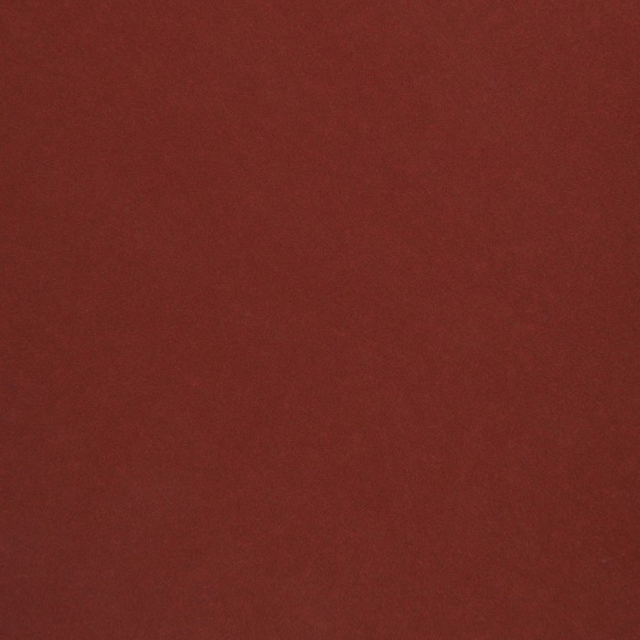 Круг абразивный шлифовальный под Круг абразивный шлифовальный под "липучку" ТУНДРА, 125 мм, Р2000, 10 шт.