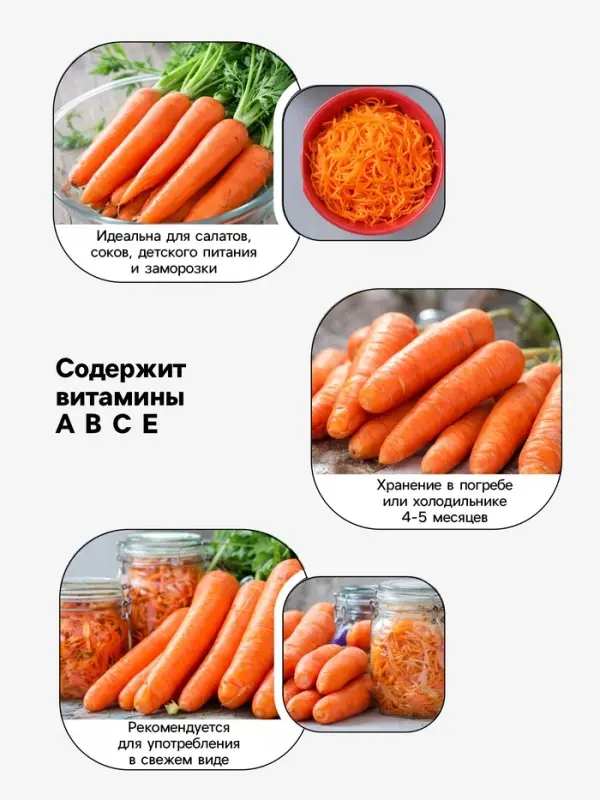 Семена Морковь &laquo;Санькина любовь&raquo;, F1, 1 г, &laquo;Уральский дачник&raquo;