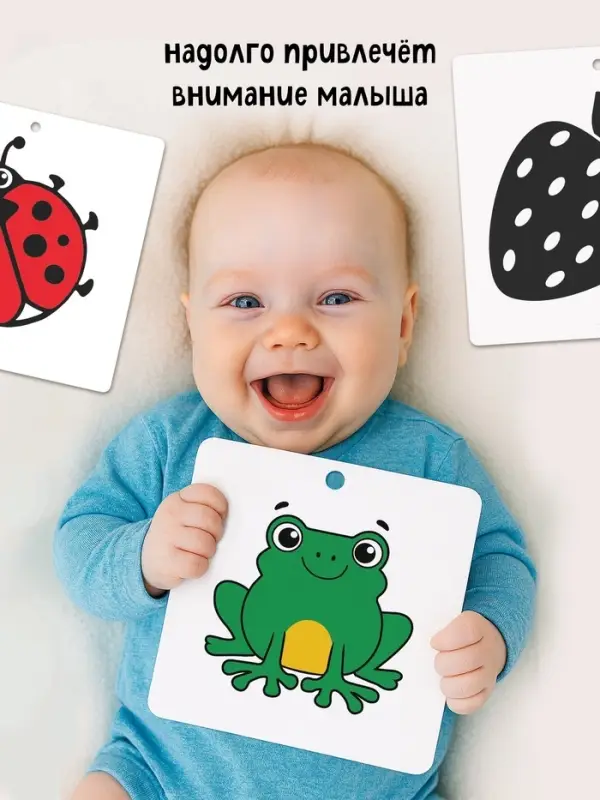 Набор картонных книжек-гармошек Набор картонных книжек-гармошек "Смотрим вместе", 6 шт.