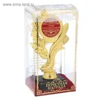 Кубок "Самая очаровательная"