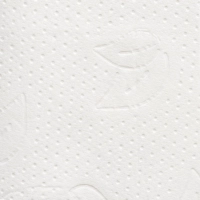 Бумага туалетная д/дисп Protissue 2сл белая цел 250л 40пач/уп_С249