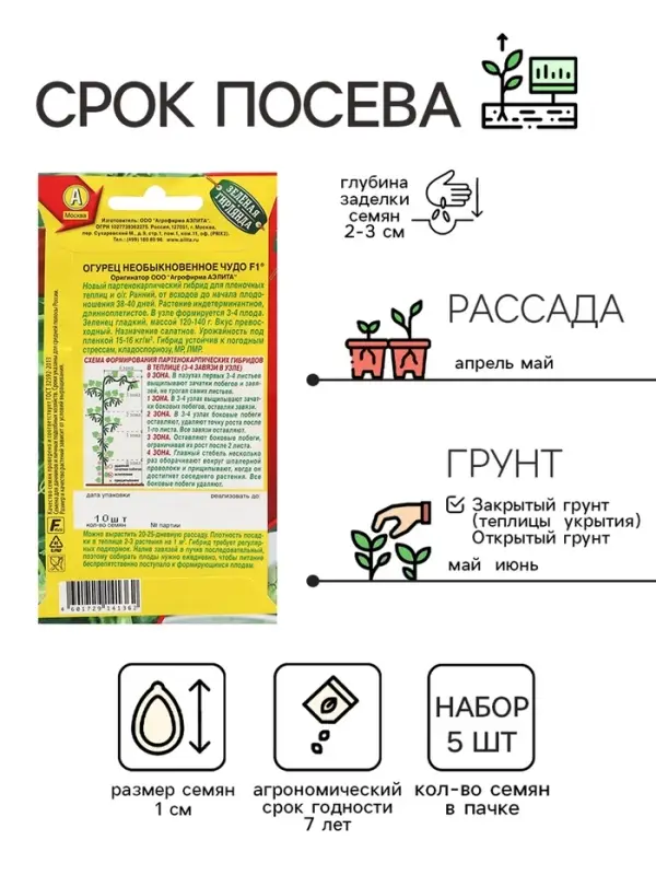 Семена Огурец &laquo;Необыкновенное чудо&raquo; F1, раннеспелый, партенокарпический, набор 5 шт., &laquo;Мой выбор&raquo;