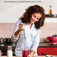 Блендер погружной HYB-H3824 800Вт серебристый