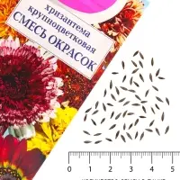 Семена Цветов Хризантема многолетняя &laquo;Смесь окрасок&raquo;, крупноцветковая, 0.02 г, &laquo;Урожай удачи&raquo;