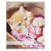 Тетрадь 36 листов в клетку Calligrata &laquo;Котята&raquo;, МИКС