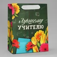 Пакет подарочный ламинированный, упаковка, «Лучшему Учителю», MS 18 х 23 х 10 см