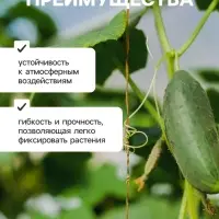 Проволока для подвязки растений, 50 м, металл, биоразлагаемая оболочка, Greengo