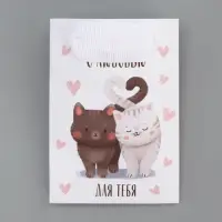 Пакет подарочный ламинированный, упаковка, «Котики», 7×10×7 см Пакет подарочный ламинированный, упаковка, «Котики», 7×10×7 см