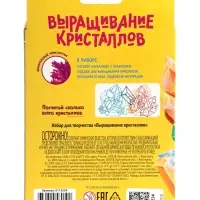 Выращивание кристаллов &laquo;Опыты. Лучистый кристалл&raquo;, цвет фиолетовый
