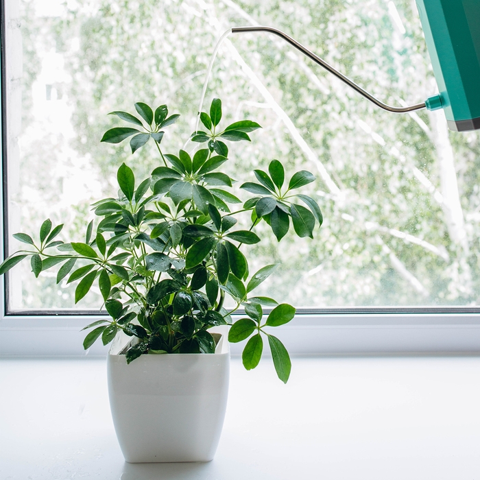 Горшок для цветов, 15 × 15 см, 2,5 л, пластик, белый Горшок для цветов, 15 × 15 см, 2,5 л, пластик, белый