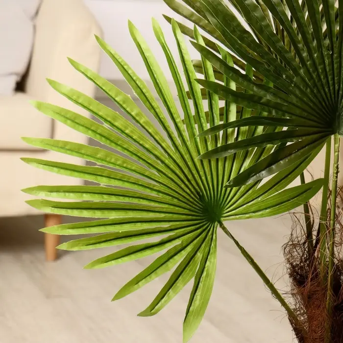 Дерево искусственное &laquo;Пальма&raquo;, h=70 см
