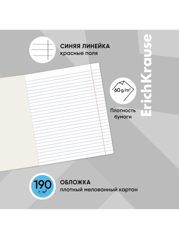 Тетрадь 48 листов в линейку ErichKrause, обложка мелованный картон, блок офсет, 100% белизна, МИКС