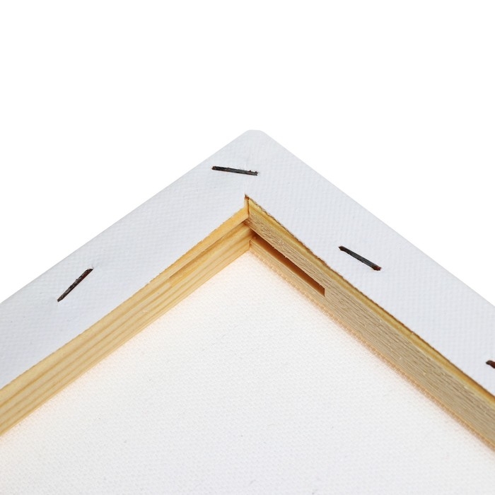 Холст на подрамнике 1,6х24х30 см, хлопок 100%, акриловый грунт, среднезернистый, 380г/м² Холст на подрамнике 1,6х24х30 см, хлопок 100%, акриловый грунт, среднезернистый, 380г/м²