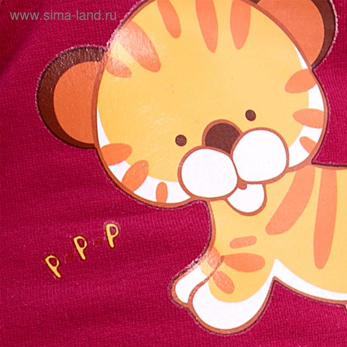 Мягкая игрушка «Басик» в футболке с принтом «Тигрёнок», 22 см