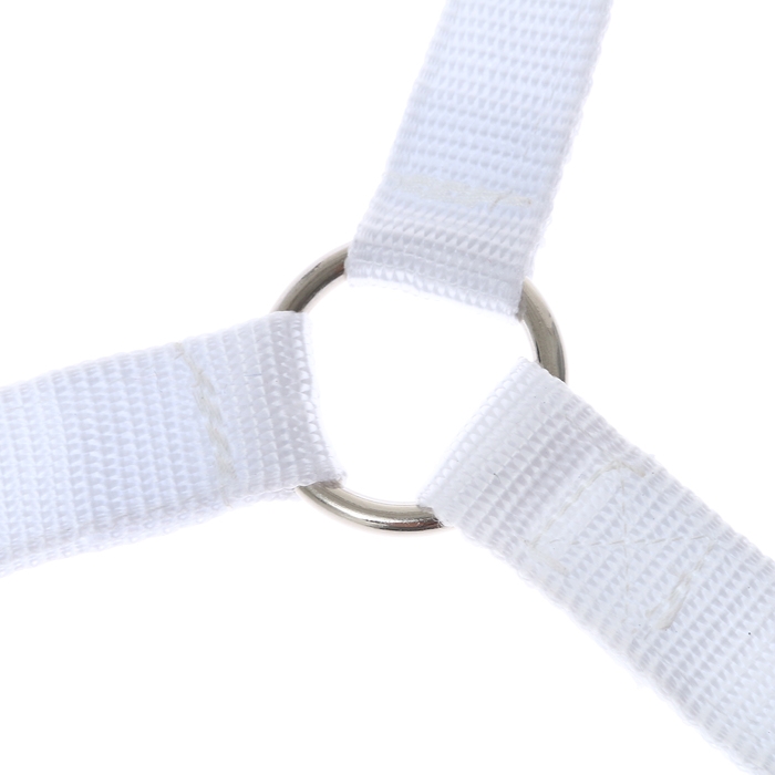 Недоуздок из нейлона, регулируемый размер, белый Недоуздок из нейлона, регулируемый размер, белый